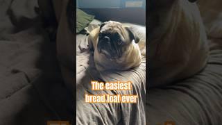 World's Easiest Bread Recipe