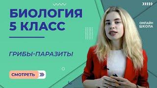 Грибы-паразиты. Урок 19. Биология 5 класс