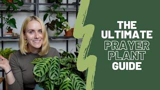 The ultimate guide to PRAYER PLANTS | Calathea, maranta, ctenanthe, and stromanthe care tips