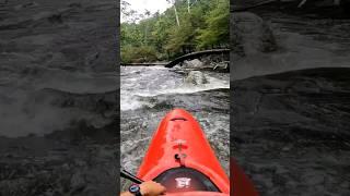 Dodging trees on Little River (TN) #schaeferyaks #yakfam #whitewater #kayaking #sinkstoelbow #fun