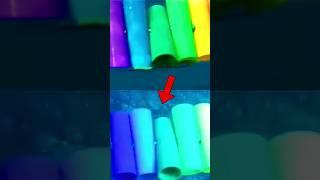 Why the colors of the fish we see are so vibrant 