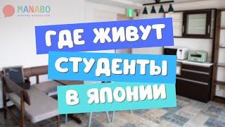 Где живут студенты в Японии? Обзор гестхаусов от компании Freshroom.