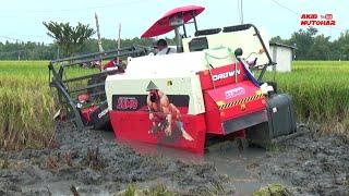 KOMBI SAWAH CROWN SUMO TERJEBAK LUMPUR SAMPAI TAK BERKUTIK