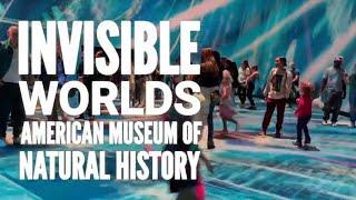 NYC: American Museum of Natural History: Immersive Experience - INVISIBLE WORLDS