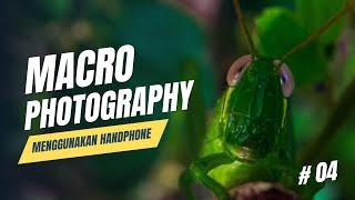 Macro Photography bagi pemula menggunakan HP