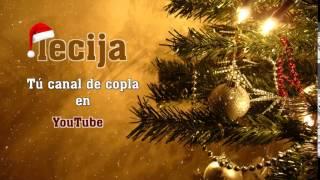 LECIJA LES DESEA UNAS FELICES FIESTAS