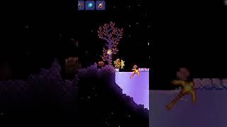 Где найти озеро shimmerа #terraria 1.4.4