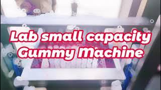 Lab small capacity gummy candy machine