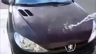 thermo car paint   change color with water