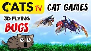 CAT GAMES - Rhinoceros beetles bugs 🪲  60FPS [CATS TV]