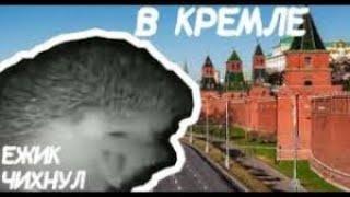 Ёжик чихнул, но это Кремль...