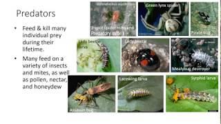 Biological Control Agents