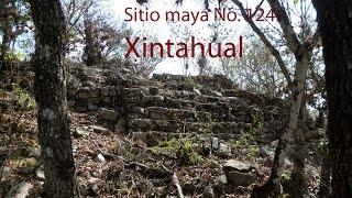 Maya site No. 124. Xintahual, Chiapas