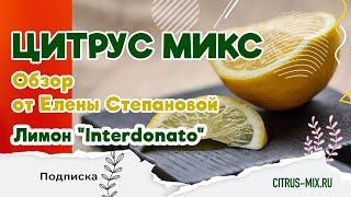Лимон Интердонато (Interdonato)  Обзор растения | Цитрус Микс #комнатныерастения #лимон #растения