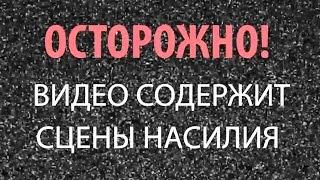 Ужасы в детсаде и притон в одном "флаконе"