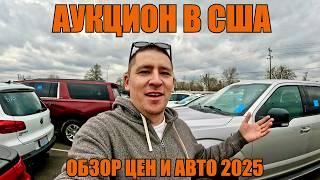 Обзор целых машин на Аукционе | Цены на Авто в США 2025