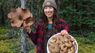 Canned Mushrooms & Grilled Grouse Kabobs | Summer Harvest