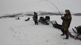 РЫБАЛКА В БАРЕНЦЕВОМ МОРЕ СО ЛЬДА / ICE FISHING IN THE BARENTS SEA