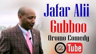 Jafar Alii, Gubboo (Oromo Comedy)