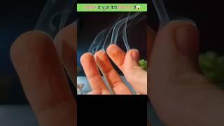 SMOKE in Fingers #facts #shorts #ytshorts