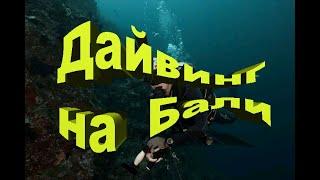 Дайвинг на Бали. CrystalBay and MantaPoint