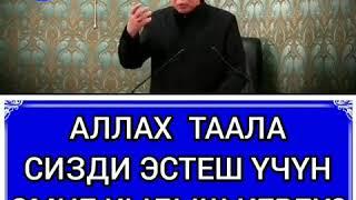 Аллах Таала сизди эстеш учун эмне кылыш керек