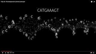 Полимеразная цепная реакция. Лаборатория CL (бывший CityLab)