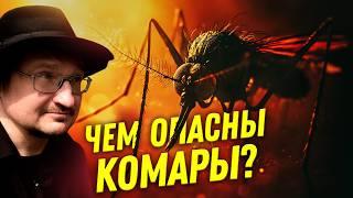 Малярийные комары в России? Мифы о кровососущих насекомых | Ученые против мифов 23-2