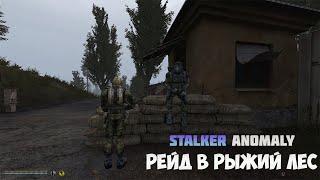 STALKER ANOMALY - РЕЙД В РЫЖИЙ ЛЕС [18+]