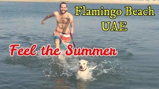 FLAMINGO BEACH IN RAS AL KHAIMAH UAE | FEEL THE SUMMER 2022