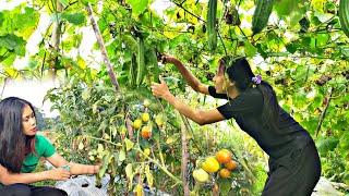 Masak Tomat Segar Hasil Panen di Kebun, di Olah jadi Sambal yang MANTAP