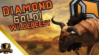 Rare Diamond Gold Blue Wildebeest! TheHunter COTW