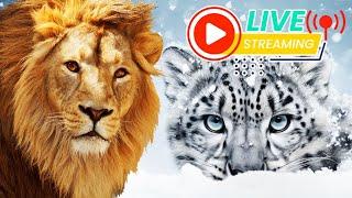 [ LIVE] Animals For Kids  FlashCards & Real Animal Videos | Kids & Toddlers Learning Video