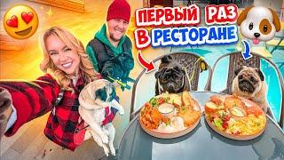 24 ЧАСА С ФУНЕЙ и БАКСОМ!ВПЕРВЫЕ В РЕСТОРАНЕ ДЛЯ СОБАК! ДРУЖНЫЕ МОПСЫ В РЕАЛЬНОЙ ЖИЗНИ