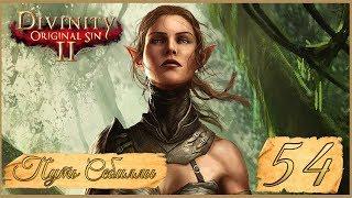 Divinity: Original Sin II  54: Джаан и ведьма