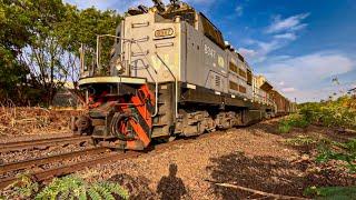 MAGNÍFICA LOCOMOTIVA SD70 BRUTA COM MAQUINISTA BUZINANDO ALTO DENTRO DO PÁTIO DE ZOL EM ORLÂNDIA SP