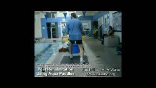 Charlen Kopansky Canadian Aquafitness Leaders Alliance CALA Using Aqua Paddles