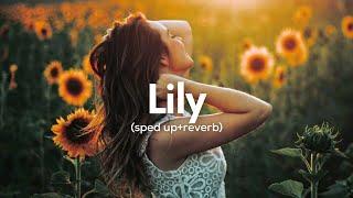 Alan Walker, K-391 & Emelie Hollow - Lily (sped up+reverb)