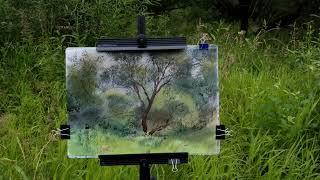 20230718 Willow. Plein air watercolor.