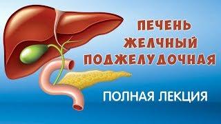 Печень. Желчный Пузырь, Поджелудочная железа. Болезни и лечение. Фролов Ю.А. 15 г.