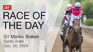 DRF Thursday Race of the Day | Grade 1 Malibu Stakes | December 26, 2024