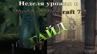 Неделя урожая в World of Warcraft. 7.3. Самый необязательный праздник.