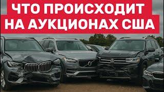 БИТКИ И АБСОЛЮТНО ЦЕЛЫЕ МАШИНЫ вот что творится на аукционах в США!
