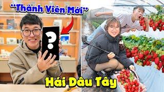 Đưa Trẻ Trâu Đi Đại Náo Vườn Dâu Tây Và Đón Thành Viên Mới | Anh Tóc Xoăn