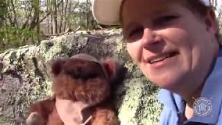 Miss Donna's Woodland Adventures | Episode 5: Star Wars Day