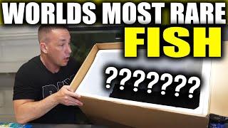 I GOT THE WORLD'S RAREST FISH  - The king of DIY