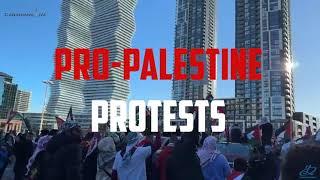 Pro-Palestinian protests - Mississauga, Ontario