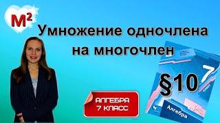 УМНОЖЕНИЕ ОДНОЧЛЕНА НА МНОГОЧЛЕН. §10 Алгебра 7 класс