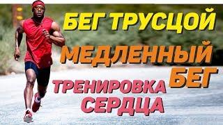 Бег трусцой. Медленный бег. Тренировка сердца.