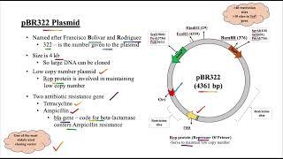 What are Plasmids. What are different types of plasmids. pSC101, pBR322, pUC18 plasmids